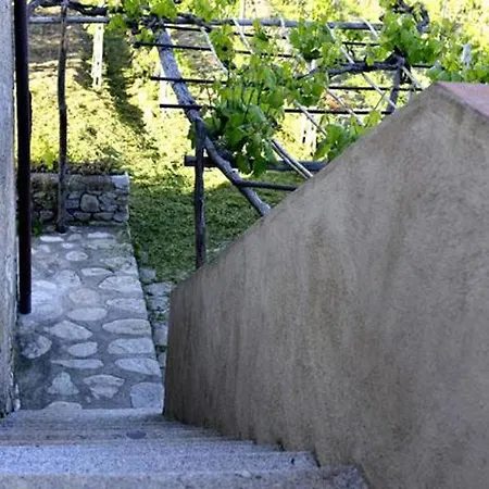 Gioia 3